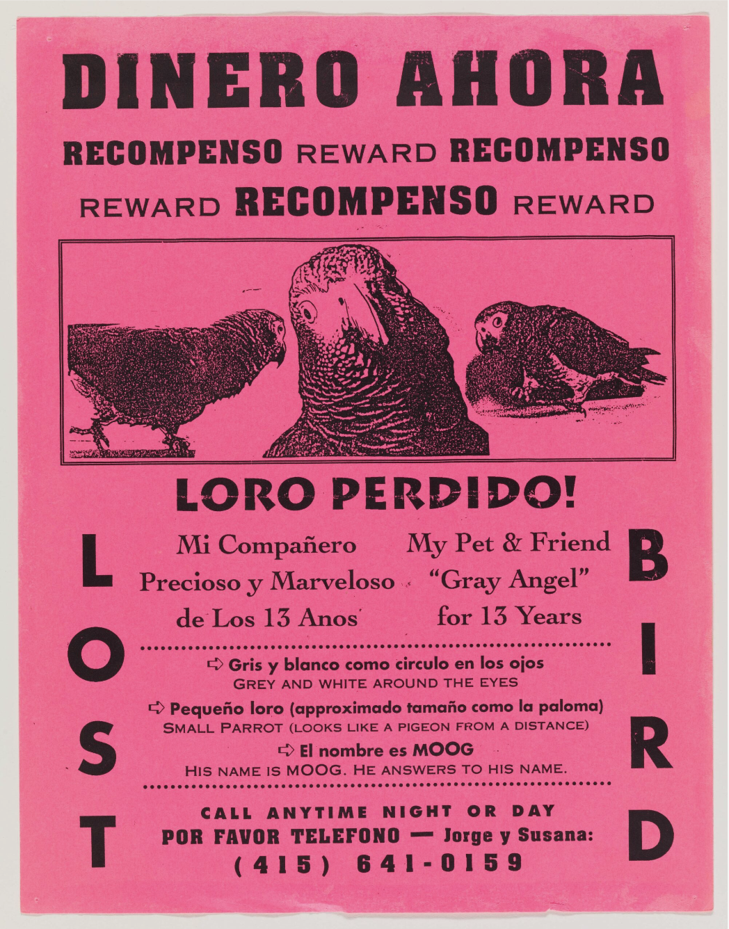 bird1