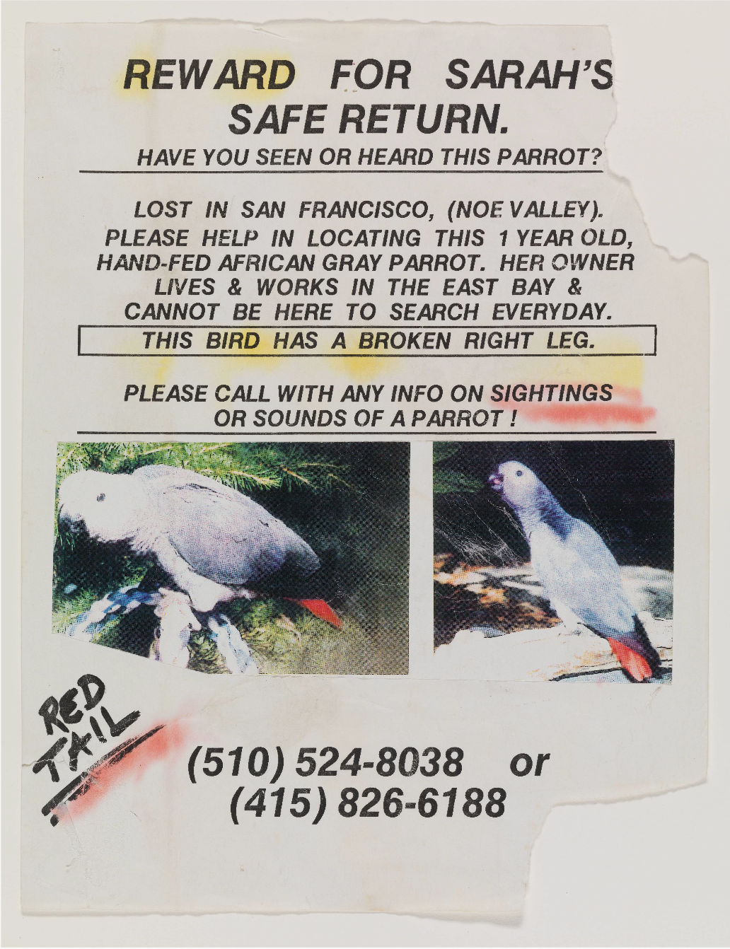 bird2
